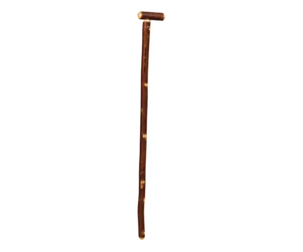 Cane